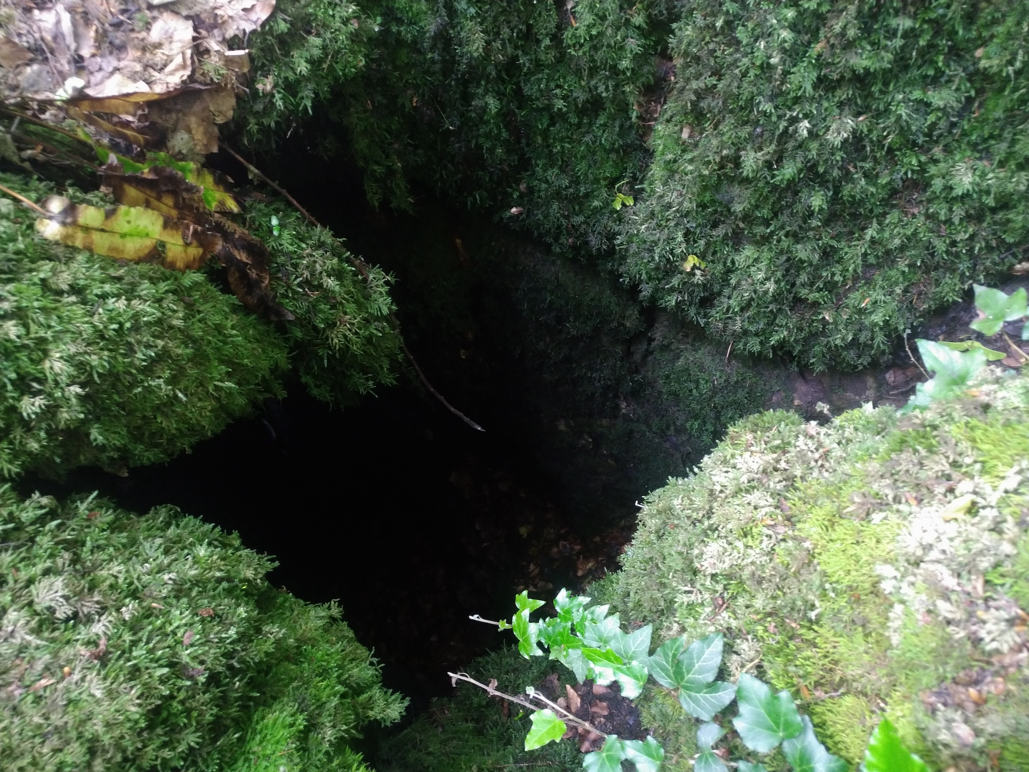 Avenul Nr.1 din Padina Seacă - Image 2